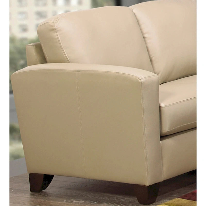 Italian Top Grain Leather Transitional Sofa