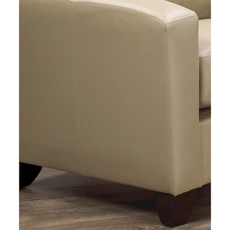 Italian Top Grain Leather Transitional Sofa